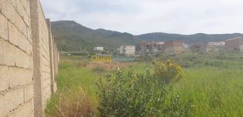 Vente Terrain Bejaia Beni ksila