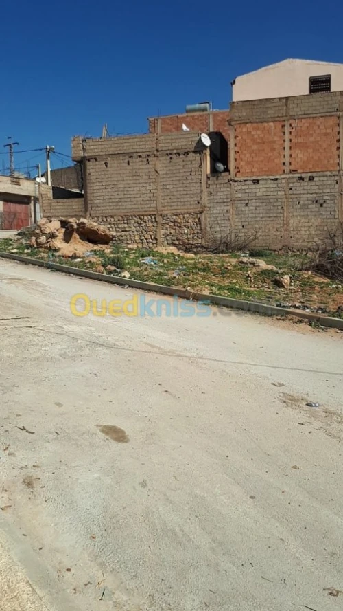 Vente Terrain Tlemcen Chetouane