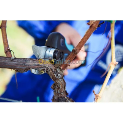 SECATEUR ELECTRIQUE 32 MM COMPAGNOLA
