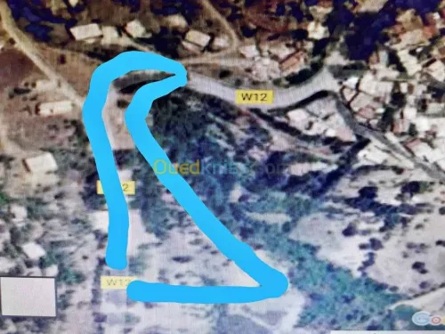 Vente Terrain Ain defla Miliana