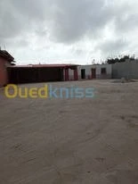 Location Hangar Alger Bordj el kiffan