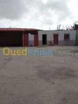Location Hangar Alger Bordj el kiffan