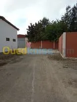 Location Hangar Alger Bordj el kiffan