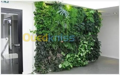 Mur vegetal naturel 