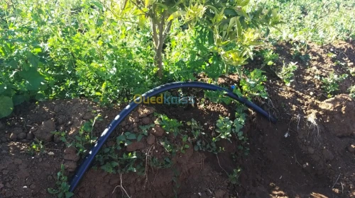 Installation goutte à goutte 