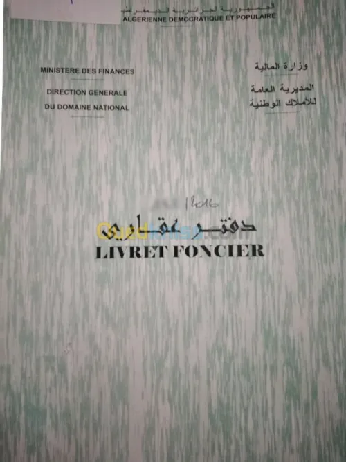 Vente Carcasse Tlemcen Chetouane
