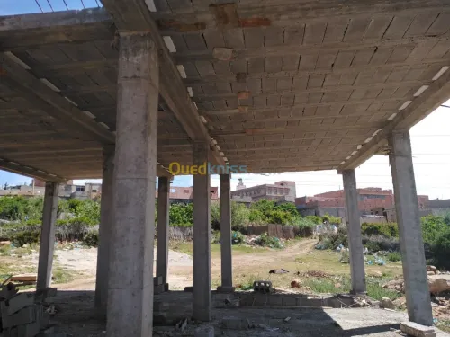 Vente Carcasse Tlemcen Chetouane