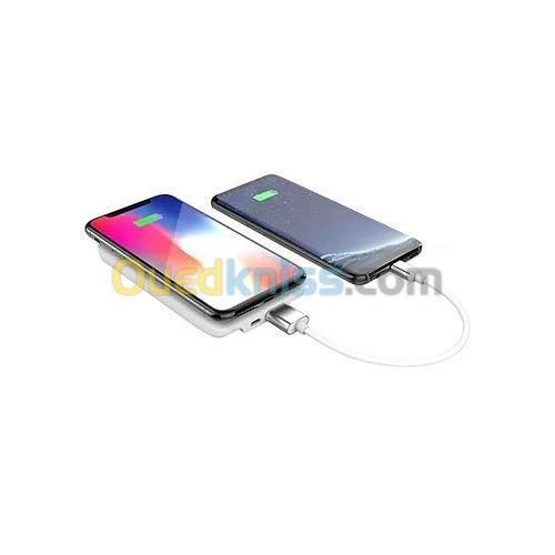 PowerBank 10000 Mah Faste Charge 2 En1