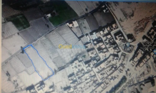 Vente Terrain M'Sila Bou saada