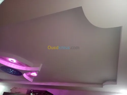 ديكورات بلاكو بلاتر وصباغات حديثة