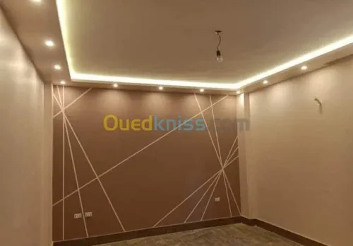 Placo-plat et peinture des bonnes prix