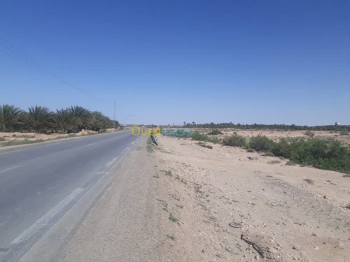 Vente Terrain Biskra Ourlala
