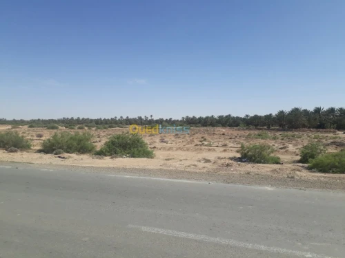 Vente Terrain Biskra Ourlala
