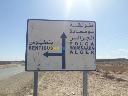 Vente Terrain Biskra Ourlala