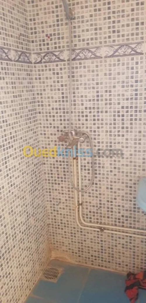 Vente Appartement F3 Djelfa Djelfa