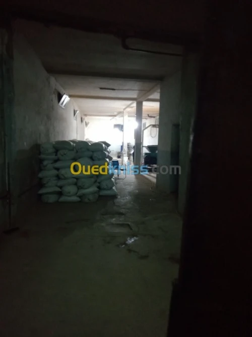 Location Local Chlef Chlef