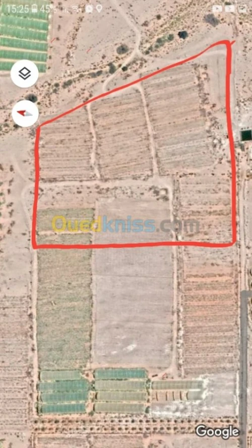 Vente Terrain Agricole Biskra El ghrous