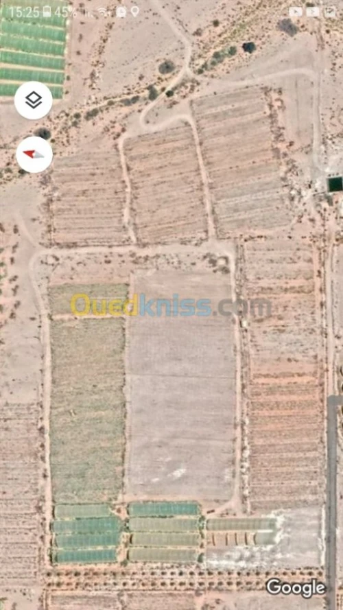 Vente Terrain Agricole Biskra El ghrous