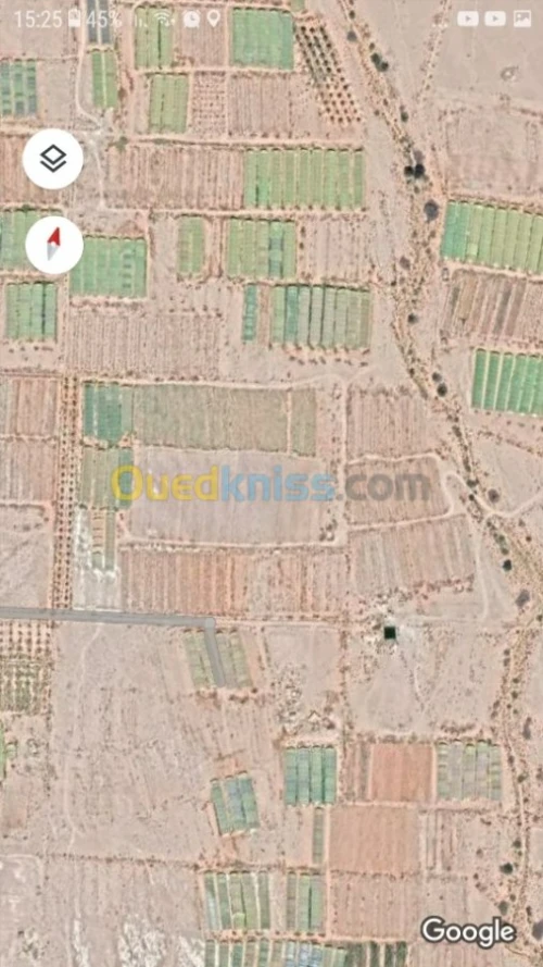 Vente Terrain Agricole Biskra El ghrous