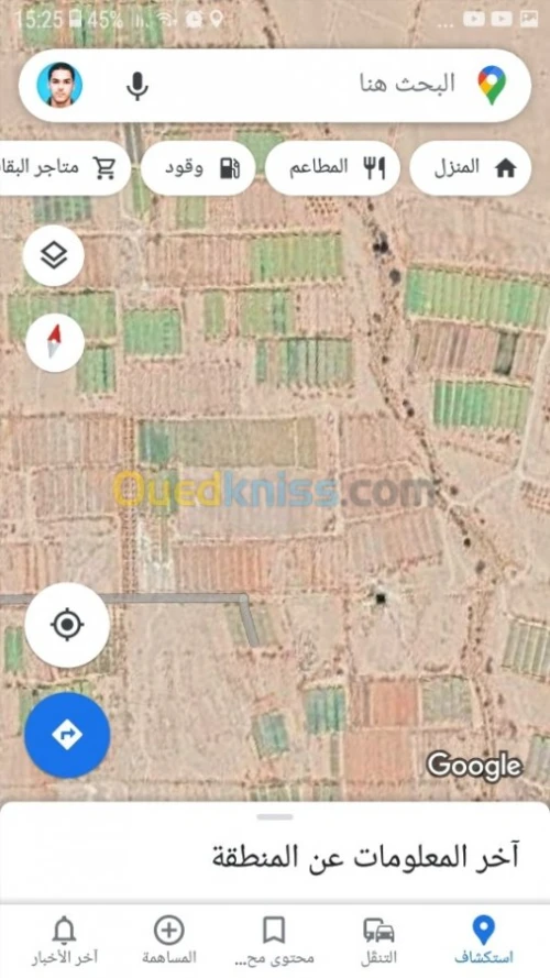 Vente Terrain Agricole Biskra El ghrous