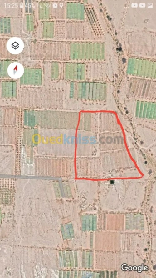 Vente Terrain Agricole Biskra El ghrous