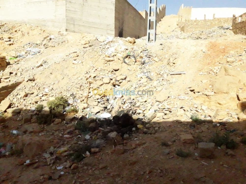 Vente Terrain Ghardaia Bounoura