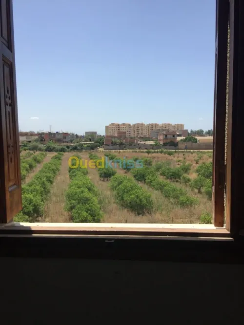 Vente Villa Boumerdes Hammedi