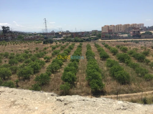 Vente Villa Boumerdes Hammedi