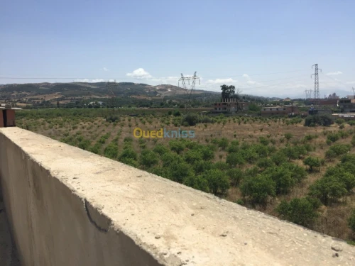 Vente Villa Boumerdes Hammedi