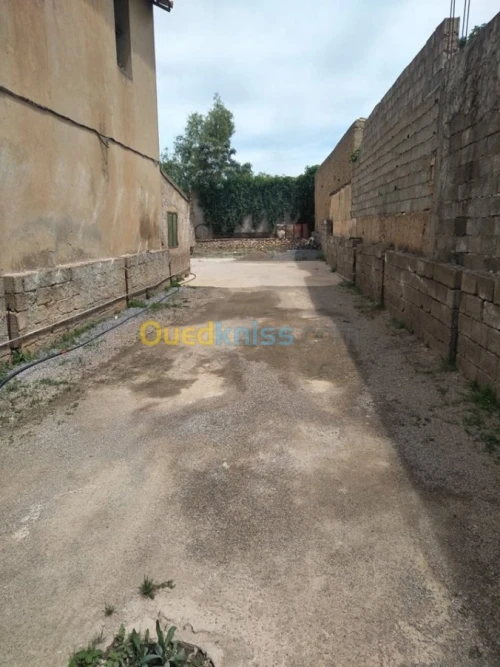Vente Villa Ain temouchent El malah