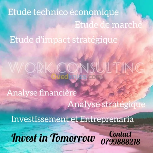 Conseil et assistance en investissement