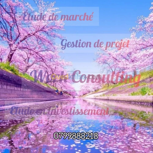 Conseil et assistance en investissement