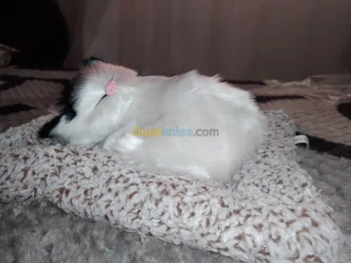 Poupée de chat décorative 