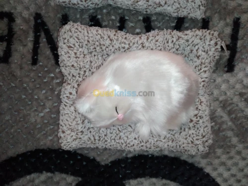 Poupée de chat décorative 