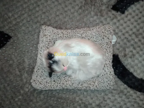 Poupée de chat décorative 
