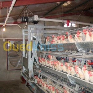 Maintenance et installation electrique