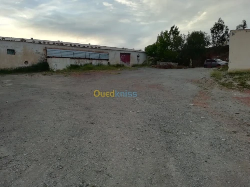 Location Hangar Bordj bou arreridj Medjana