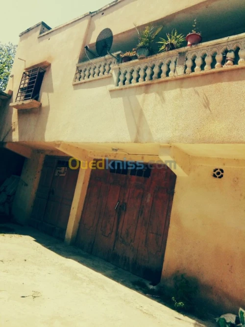 Vente Appartement F4 Guelma Aïn Larbi