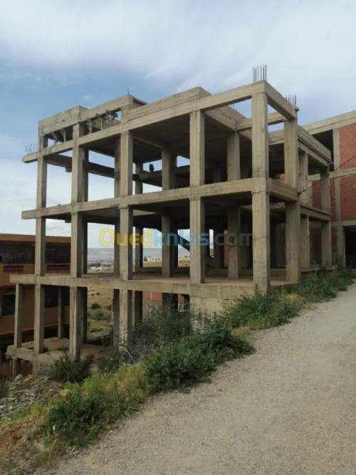 Vente Carcasse Chlef Chlef