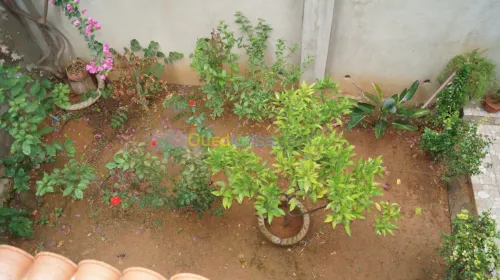 Location vacances Appartement F3 Jijel Ziama mansouriah