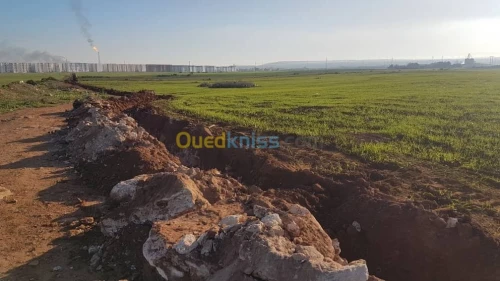 Vente Terrain Agricole Béjaïa Chelata