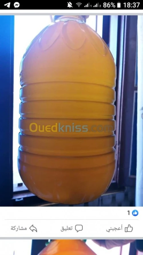 زيت الزيتون