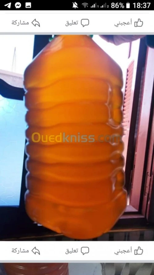 زيت الزيتون