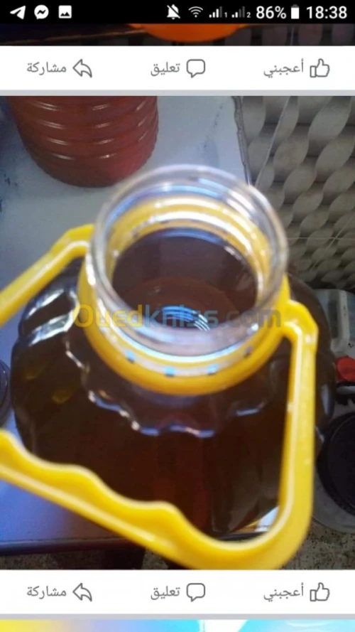 زيت الزيتون