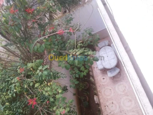 Vente Villa Boumerdes Boumerdes