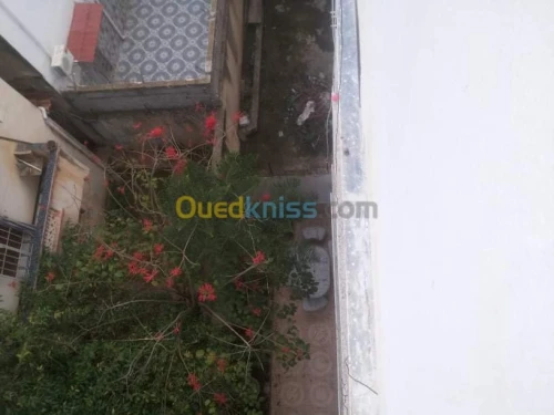Vente Villa Boumerdes Boumerdes