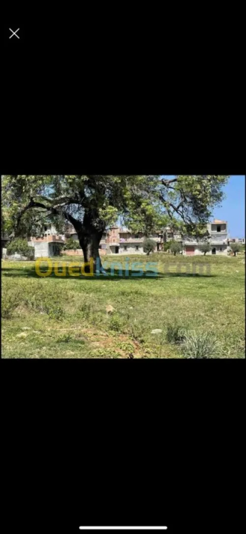 Vente Terrain Jijel Emir abdelkader