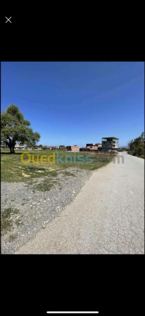 Vente Terrain Jijel Emir abdelkader