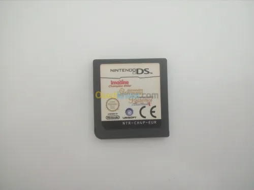 nintendo dsi