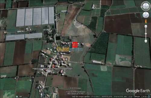 Vente Terrain Alger Rouiba